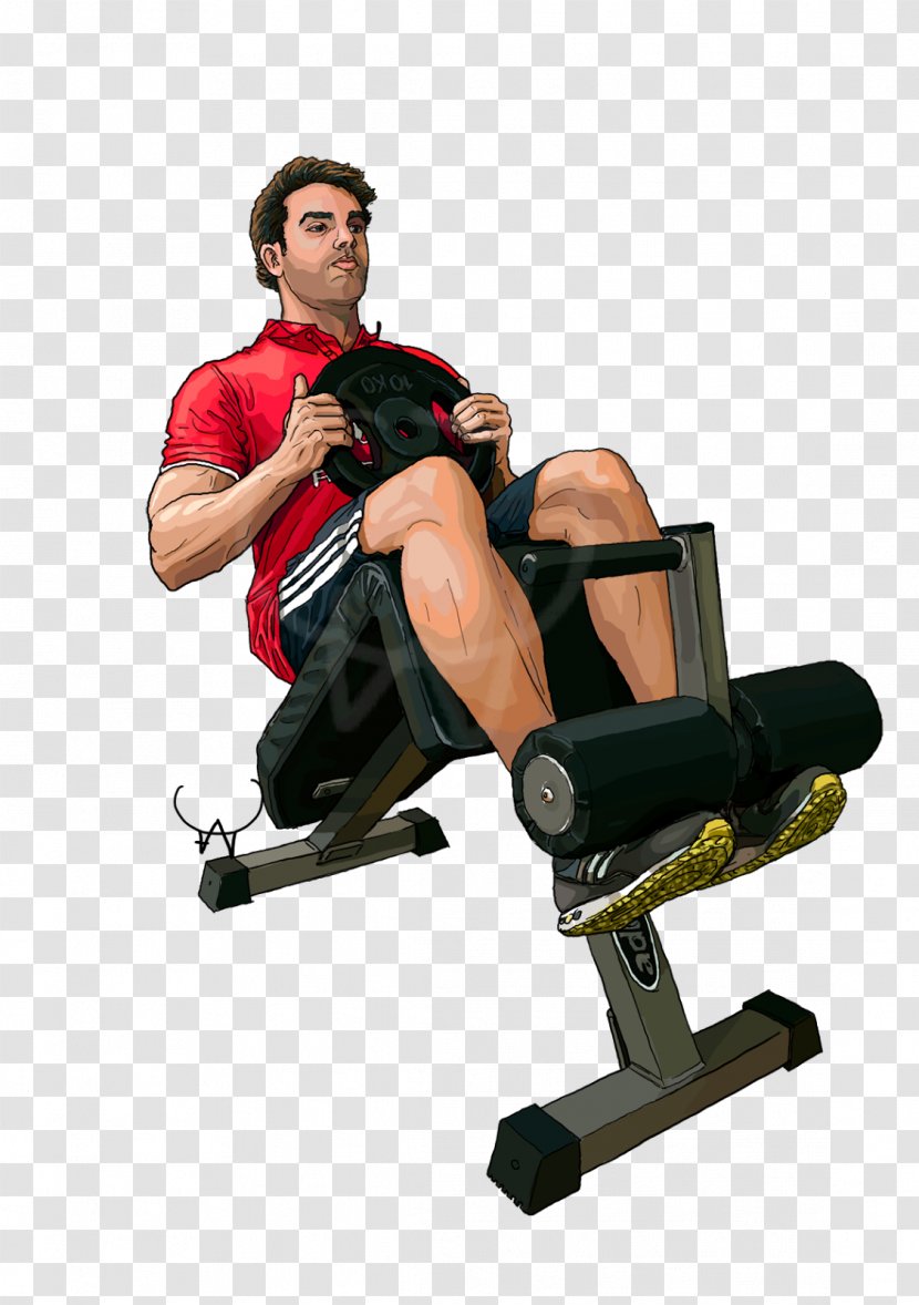 Weightlifting Machine Indoor Rower Corporate Image Brand - Sitting - Torrelodones Transparent PNG