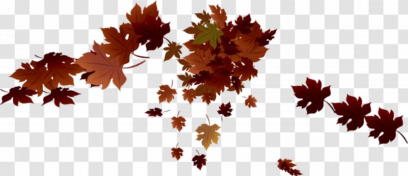 Maple Leaf Autumn Clip Art - Withered Leaves Transparent PNG