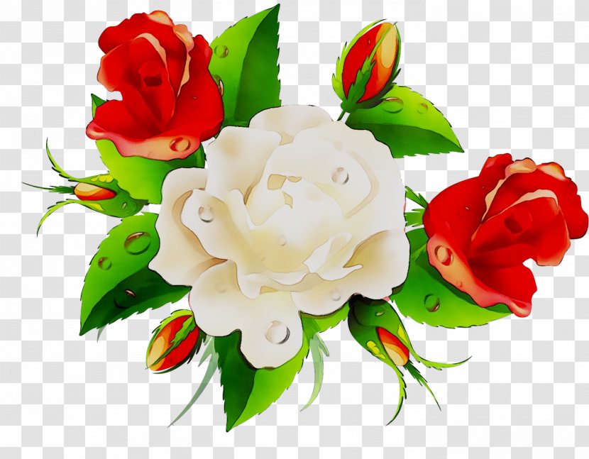 Garden Roses Cabbage Rose Floral Design Cut Flowers - Order Transparent PNG