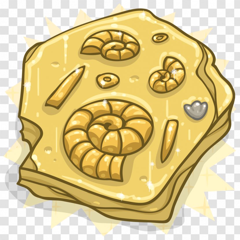 Brain - Collecting - Tortoise Transparent PNG