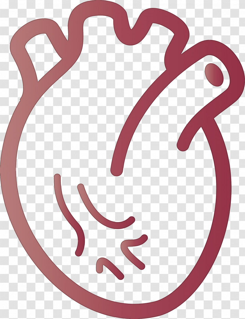 Heart Organ Transparent PNG