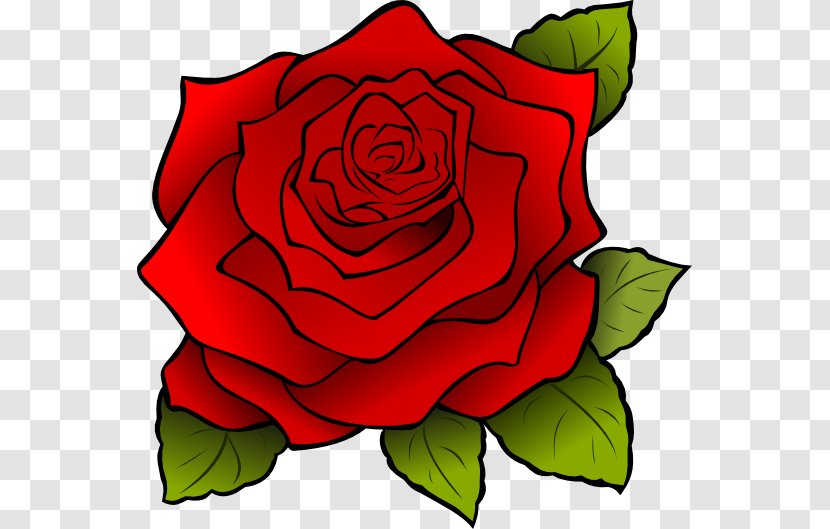 Rose Clip Art - English - Flora Transparent PNG
