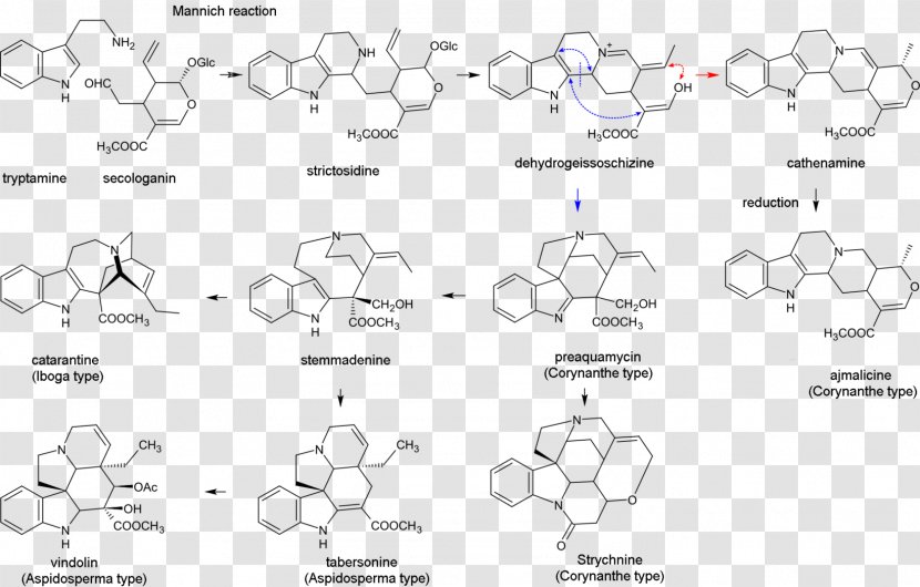 Indole Alkaloid Terpene Terpenoid - Monochrome - Line Art Transparent PNG
