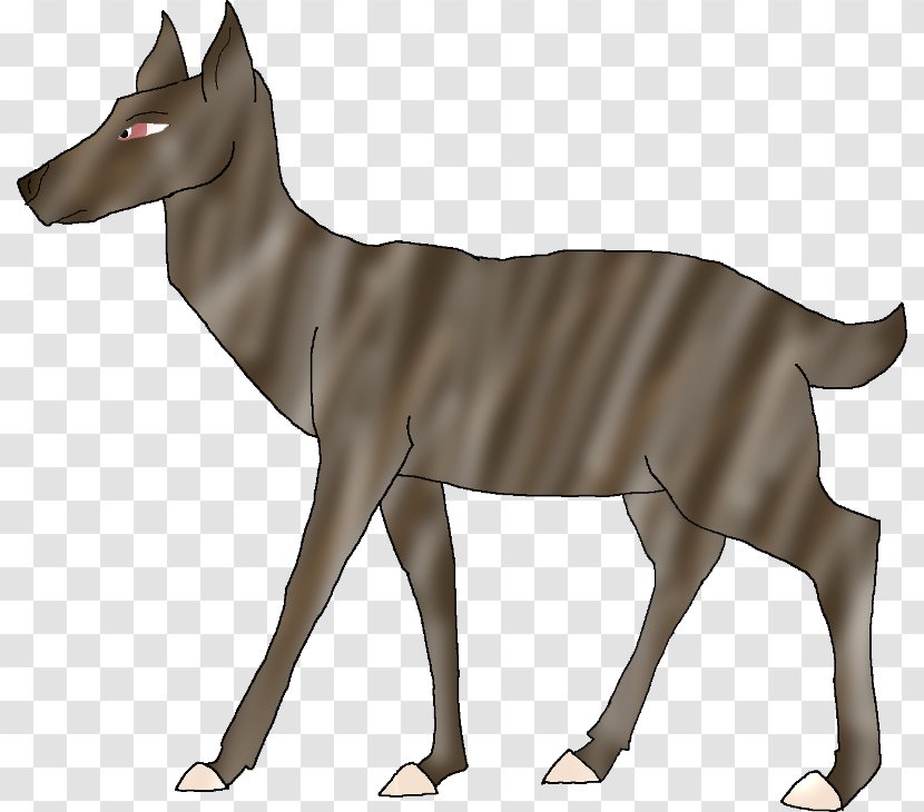 Canidae Horse Antelope Cattle Dog Transparent PNG
