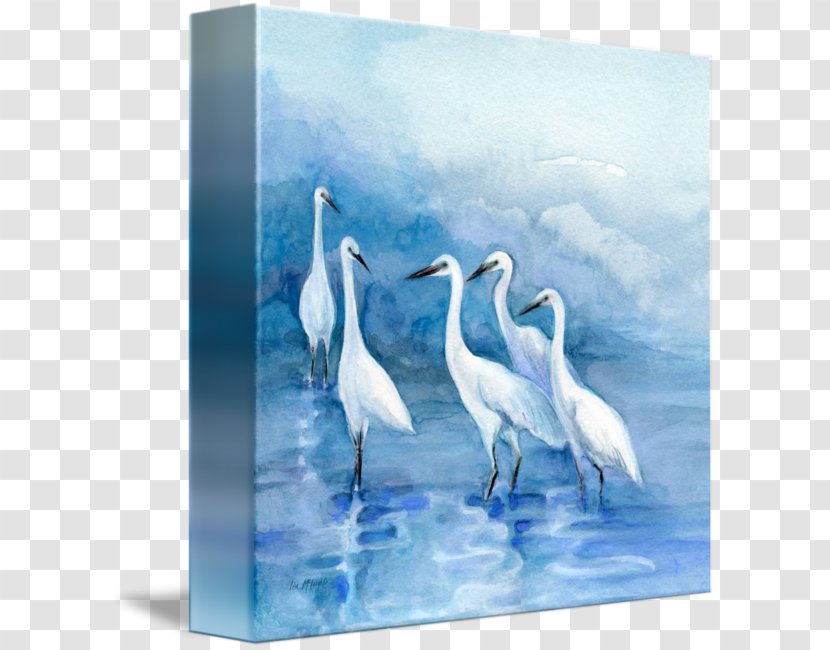 Cygnini Painting Bird Acrylic Paint - Curtain - Egret Poster Design Transparent PNG