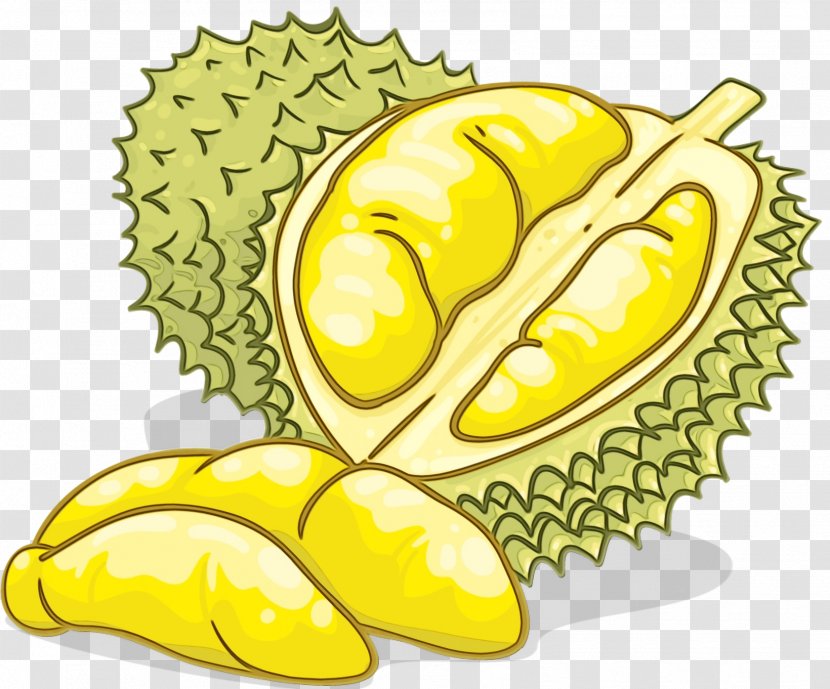 Fruit Durian Yellow Food Natural Foods - Artocarpus - Superfood Transparent PNG