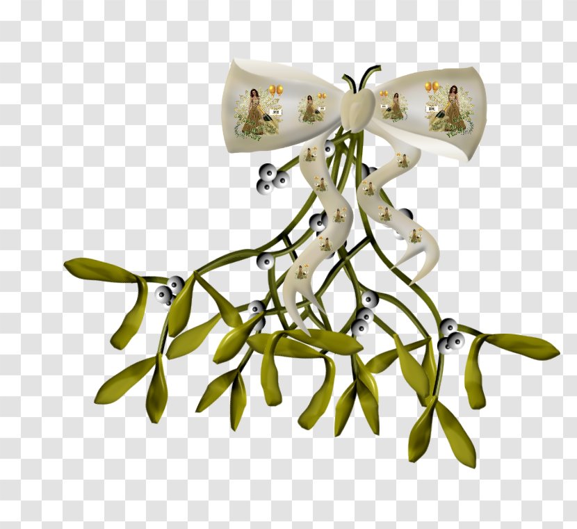 Branching Greeting & Note Cards - Plant - New Year Element Transparent PNG