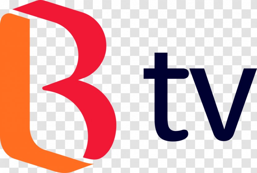 SK Broadband B TV Telecom Corp. Olleh - Brand - Sk Logo Transparent PNG