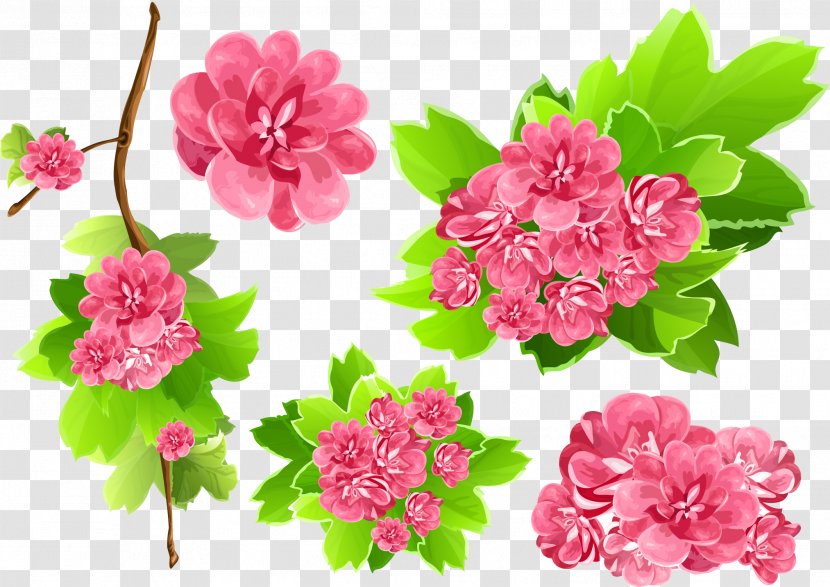 Pink Flowers Clip Art - Herbaceous Plant - Flower Vector Transparent PNG
