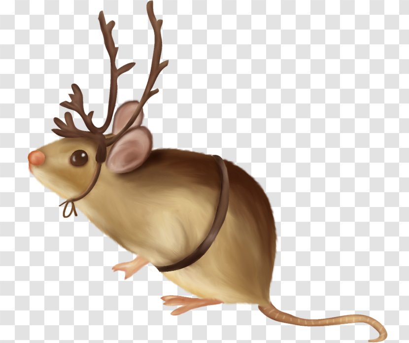 Computer Mouse Rat Rodent - Muroids Transparent PNG