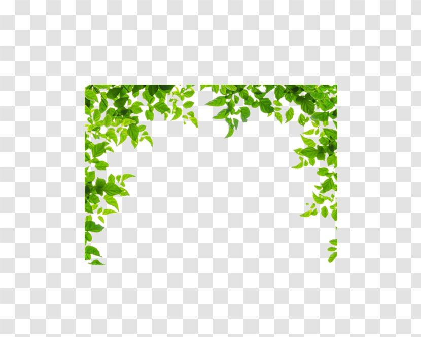 Borders And Frames Leaf Green Clip Art - Film Frame - Leaves Border Transparent PNG