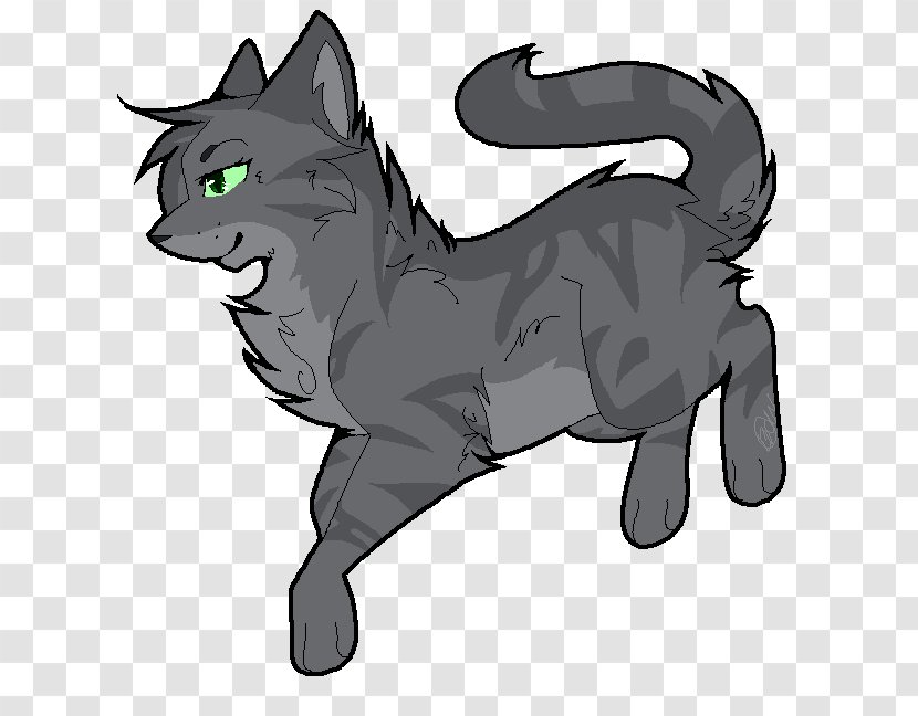 Cat Whiskers The Rise Of Scourge Warriors Willowshine - Horse Like Mammal Transparent PNG
