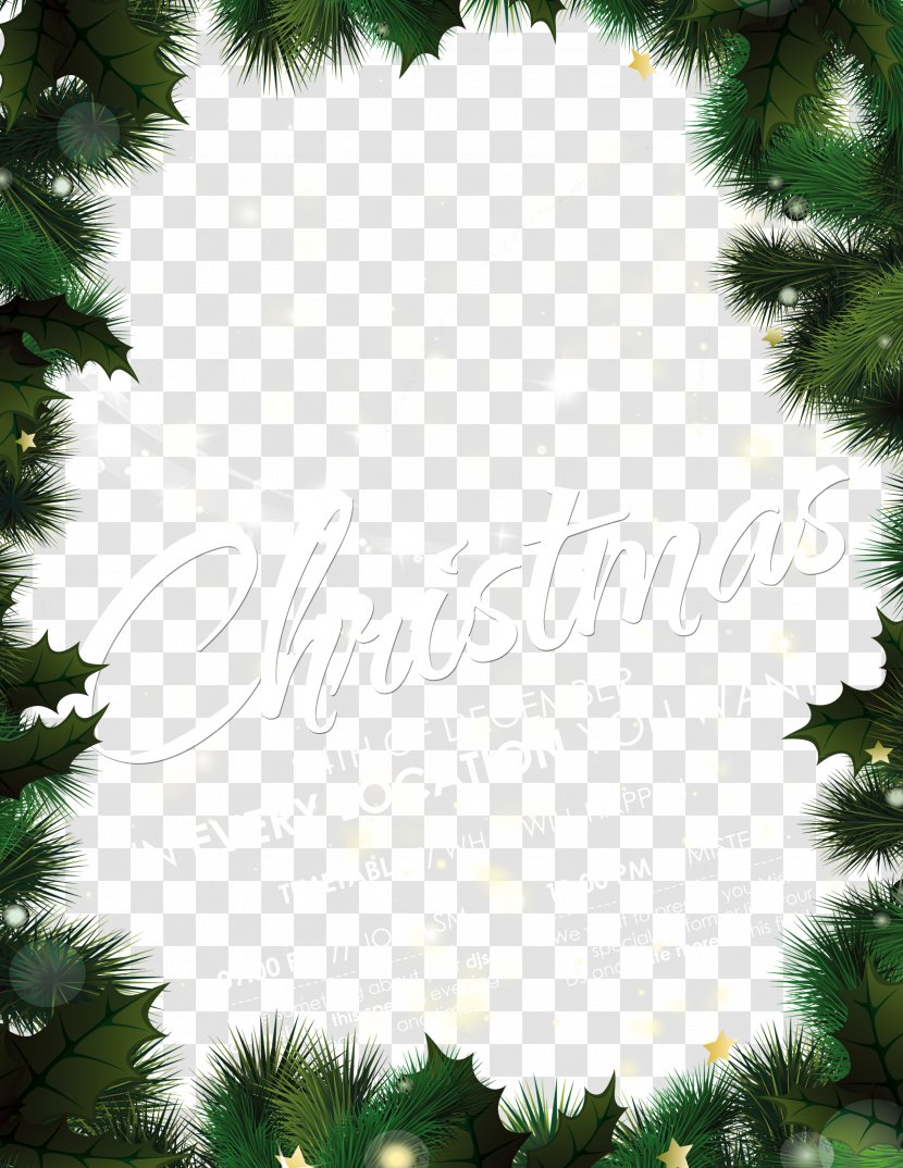 Christmas Tree New Year Poster - Pine Family - Green Needles Background Transparent PNG