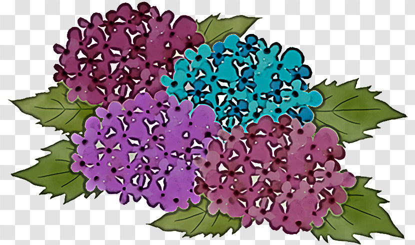 Floral Design Transparent PNG