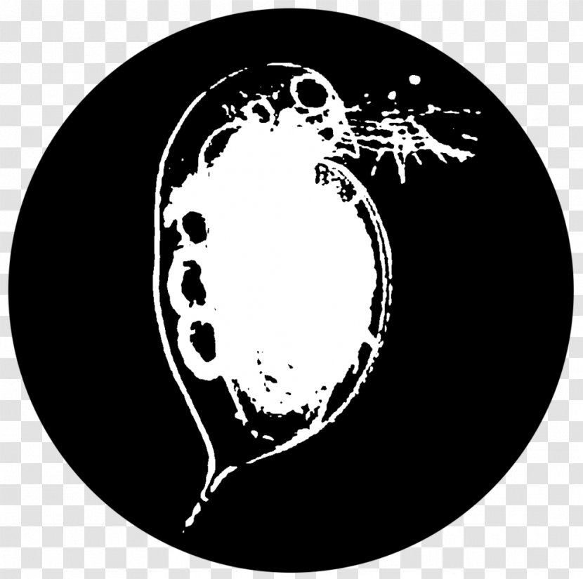 Red Emma's Bookstore Coffeehouse Daphnia Magna Water Flea Pulex Moina - Pictogram Transparent PNG