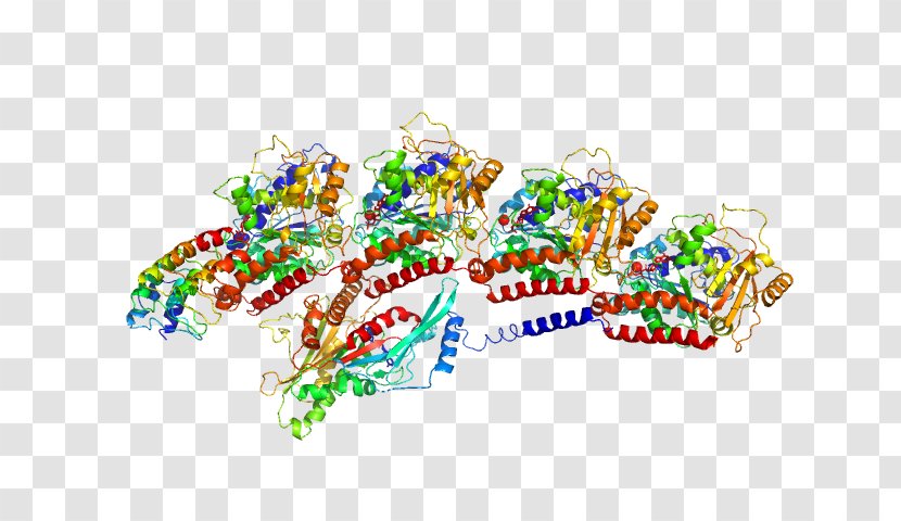 Tubulin, Beta 2b Protein Ankyrin Repeat TUBA1B - Watercolor - Alpertornaci Infographic Transparent PNG