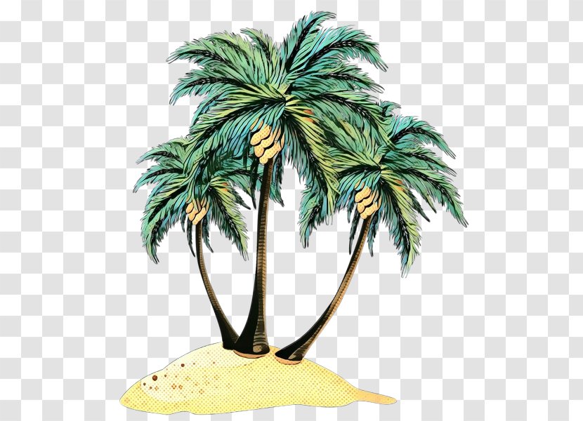 Palm Tree - Tropics - Elaeis Transparent PNG