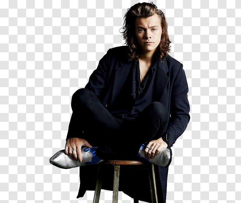 Harry Styles One Direction Made In The A.M. Potter Sign Of Times - Frame - Emily Rudd Transparent PNG