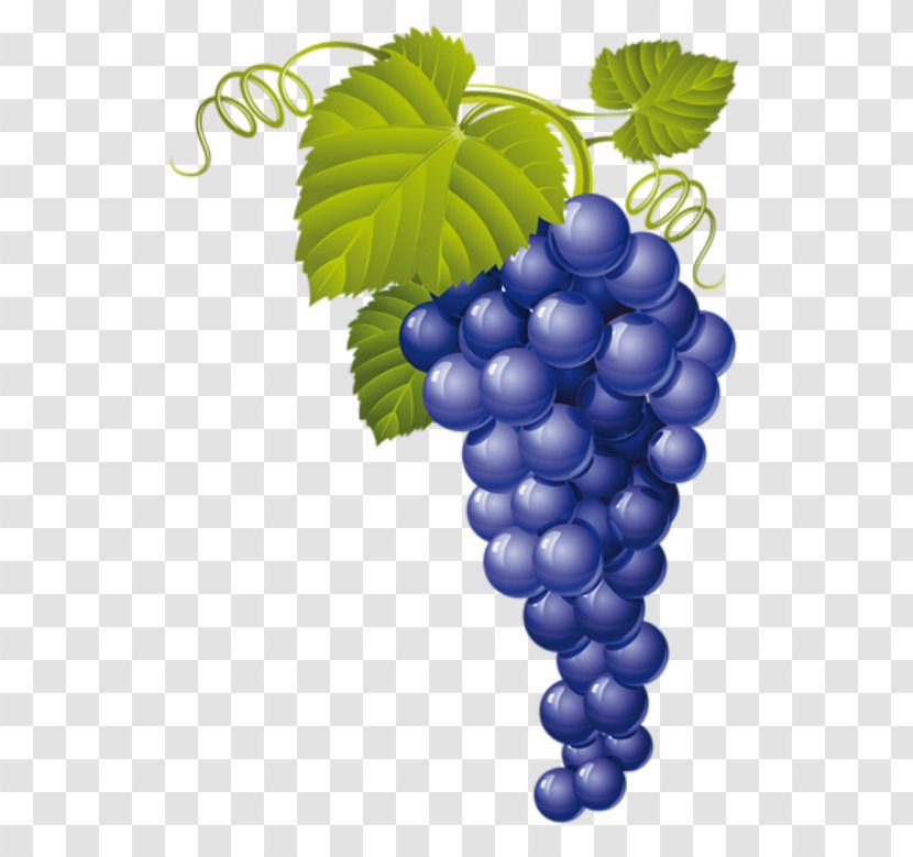 Common Grape Vine Red Wine - Fruit Transparent PNG