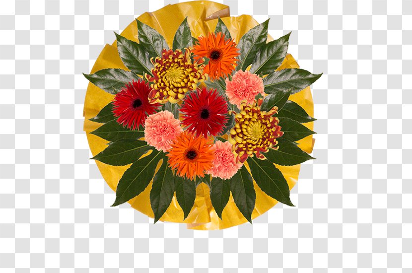 Transvaal Daisy Floral Design Flower Bouquet Cut Flowers - Rose Transparent PNG