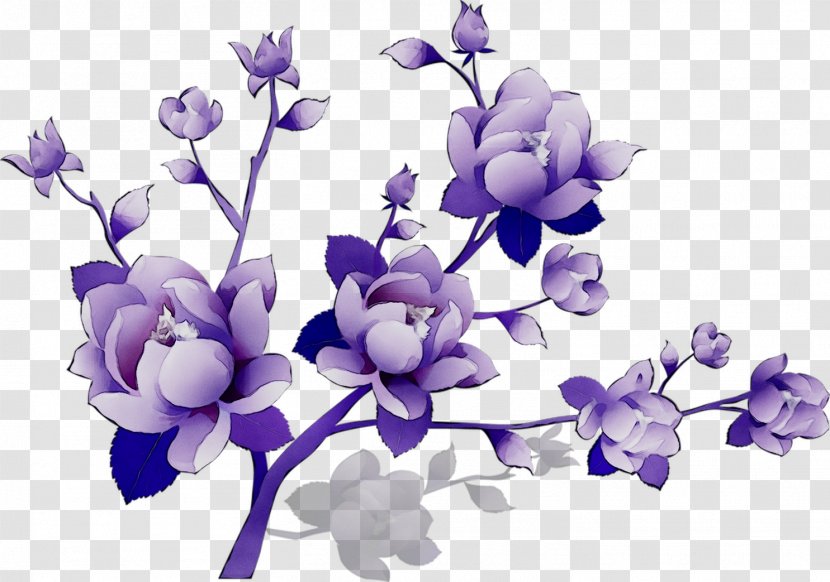 Clip Art Borders And Frames Flower Image - Violet Family - Dendrobium Transparent PNG