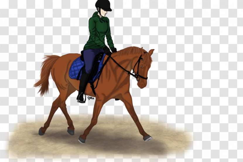 Stallion Hunt Seat Bridle Mustang Mare - Mane Transparent PNG