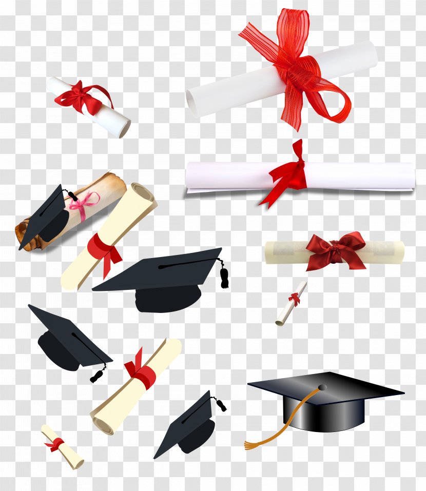 Graduation Ceremony Diploma Academic Certificate Bachelors Degree - Wing - Dr. Cap Transparent PNG