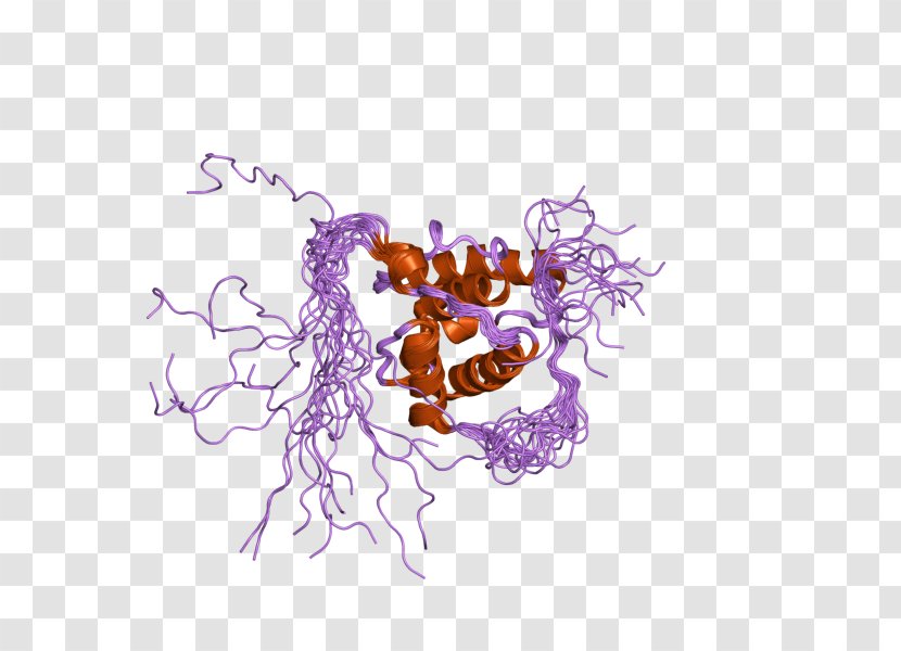 MAPRE3 Gene Microtubule-associated Protein, RP/EB Family, Member 3 - Cartoon - Flower Transparent PNG