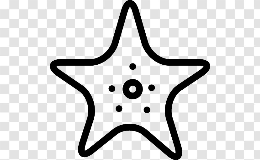 Starfish - Point - Sea Vector Transparent PNG