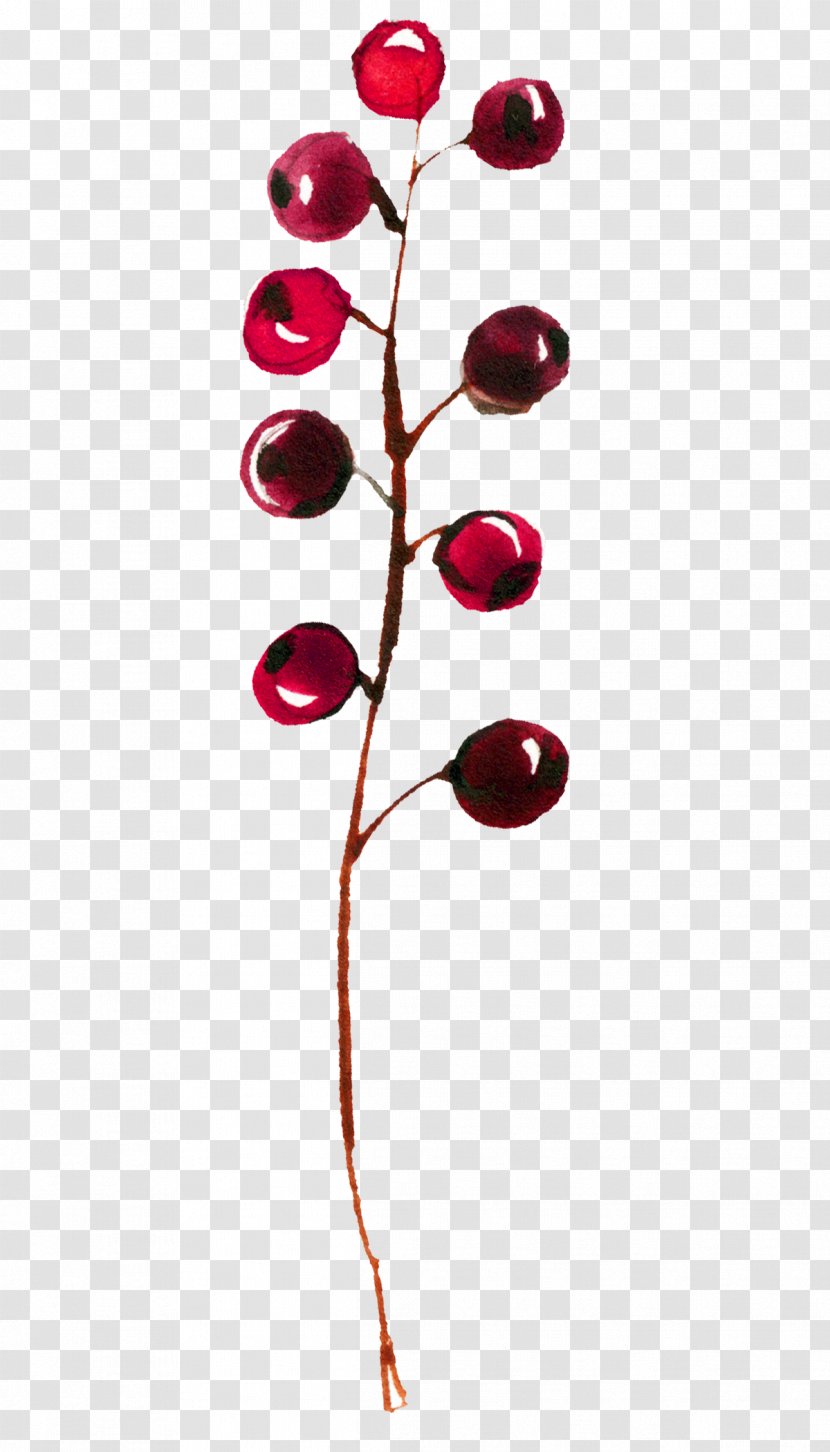 Red Tree - Plants - Currant Twig Transparent PNG