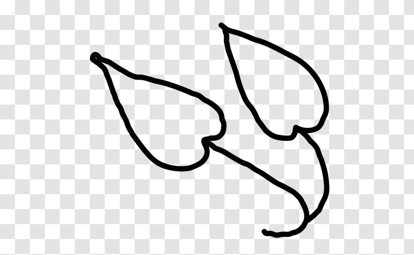 Leaf Outline - Drawing - Line Art Transparent PNG