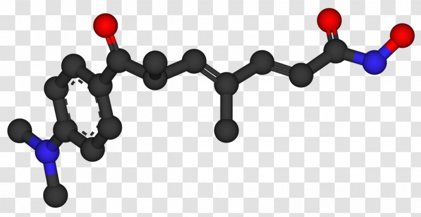 Fumaric Acid Trichostatin A Histone Deacetylase Maleic - Succinate Dehydrogenase - Organic Transparent PNG