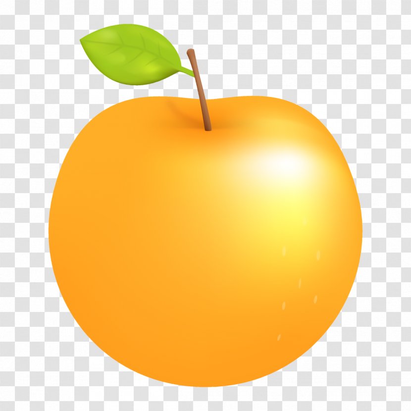 Orange - Apple - Seedless Fruit Tree Transparent PNG