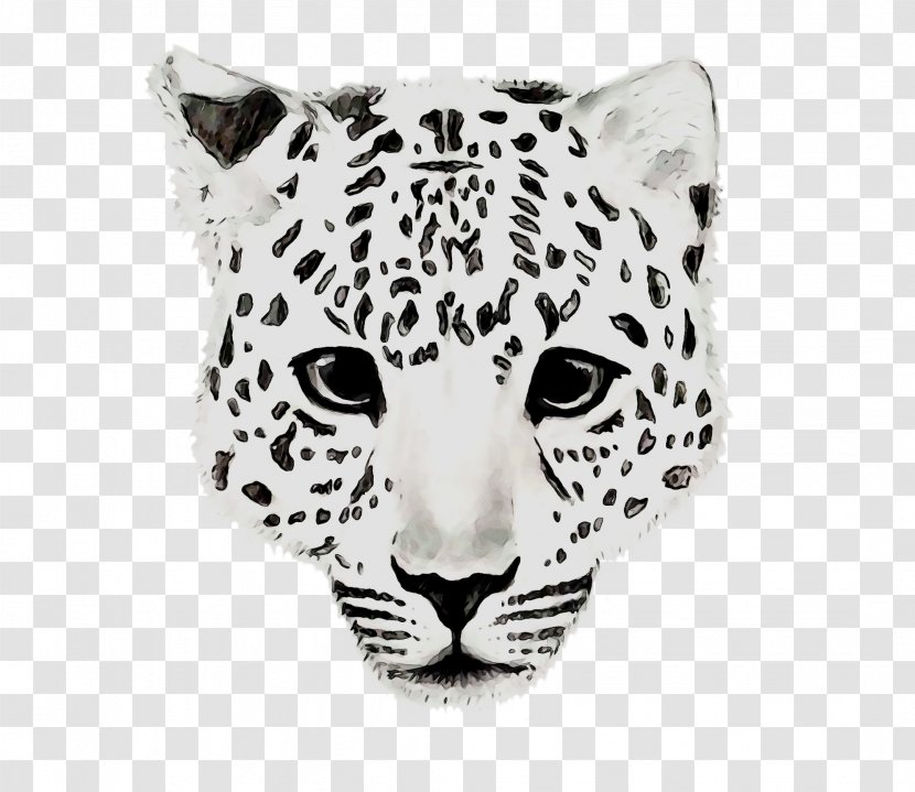 Leopard Jaguar Tiger Cheetah Whiskers - Terrestrial Animal Transparent PNG