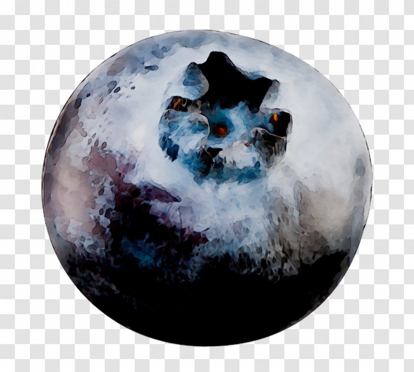 /m/02j71 Earth - Canidae Transparent PNG