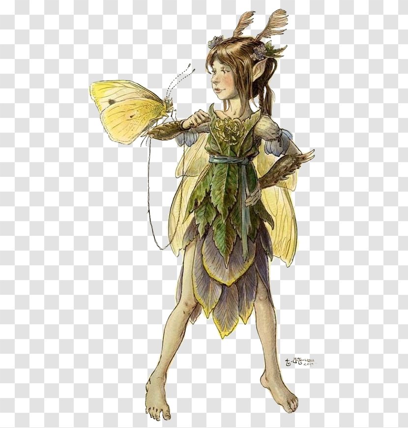 The Field Guide Spiderwick Chronicles: Lucinda's Secret Fairy Elf - Artist - Tony Diterlizzi Transparent PNG