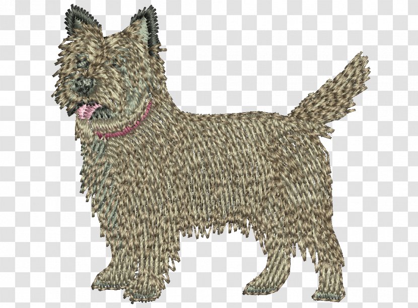 spanish terrier dog