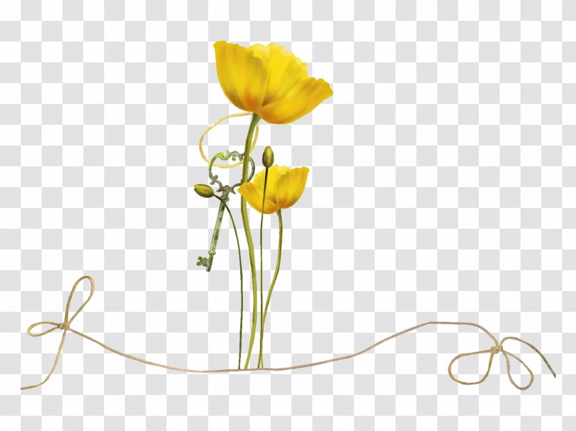 Floral Design Flower Yellow - Seed Plant - Beautiful Childhood Transparent PNG
