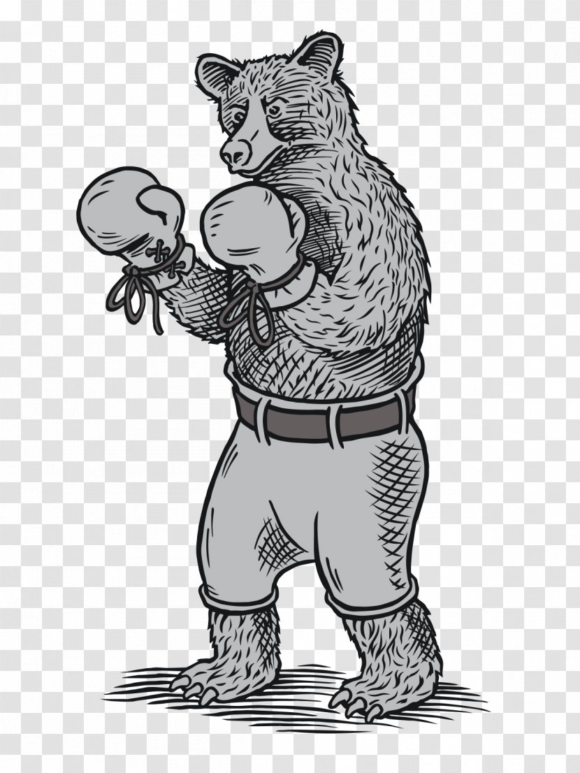 Tiger Bear Drawing Clip Art Boxing Transparent PNG