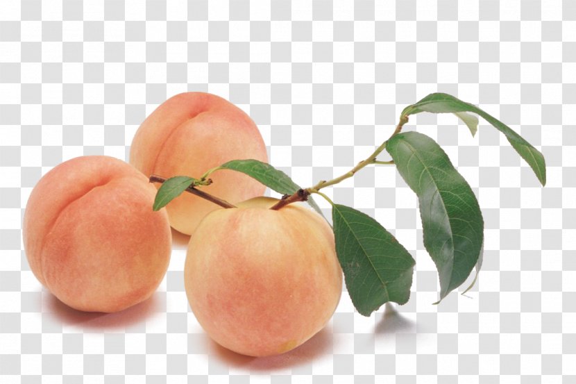 Peach Melba Silkie Auglis Transparent PNG