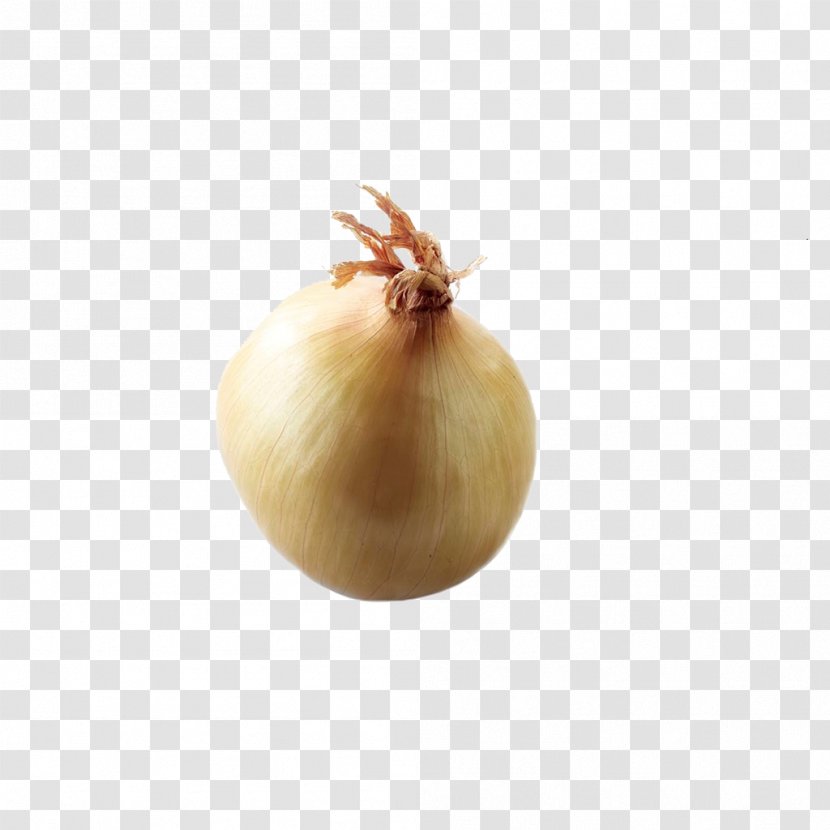 Yellow Onion - Genus Transparent PNG