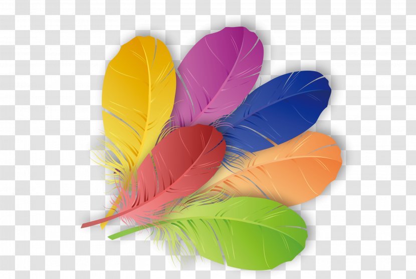 The Floating Feather Color - Vecteur - Colored Feathers Transparent PNG