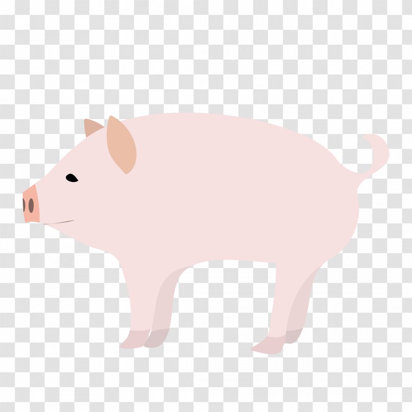 Domestic Pig Computer Mouse Clip Art Snout Transparent PNG