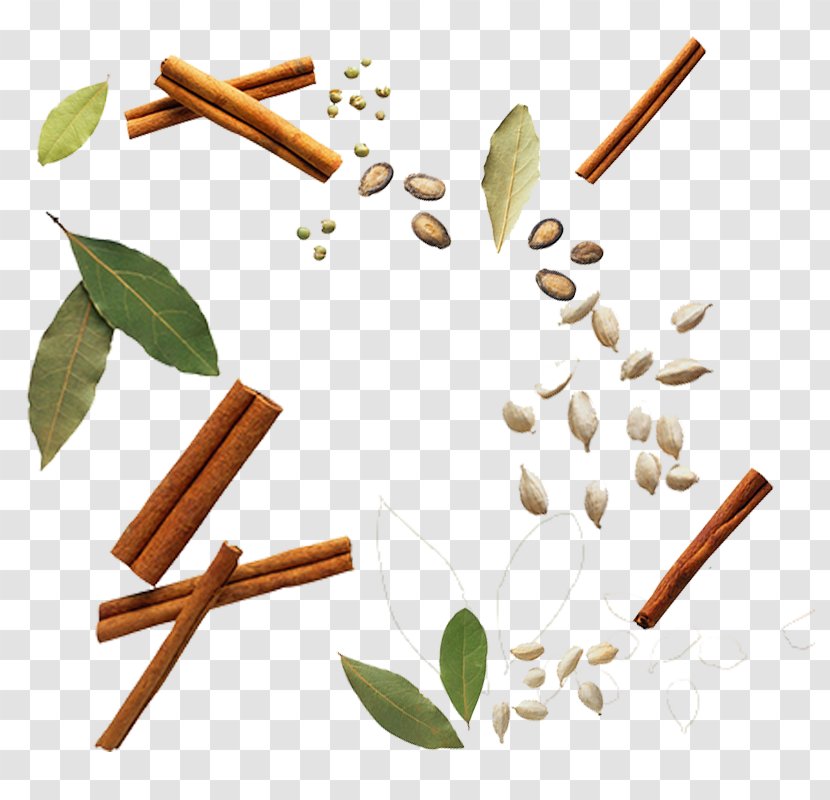 Spice Seasoning Cinnamon - Clove - Fennel Pepper Spices Transparent PNG