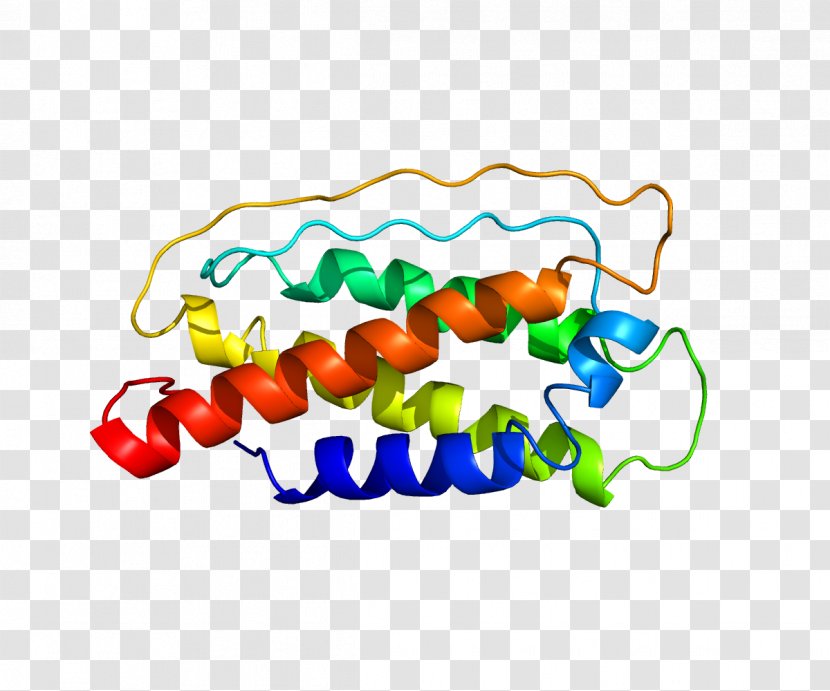 Interleukin 7 Cytokine Interleukin-2 Stroma - Cartoon - Protein Transparent PNG