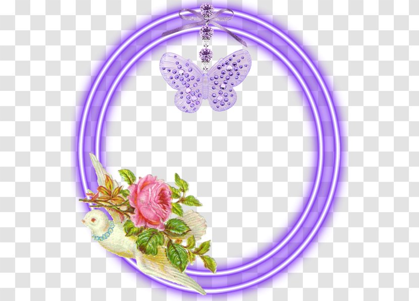 Photography Light - Body Jewelry Transparent PNG