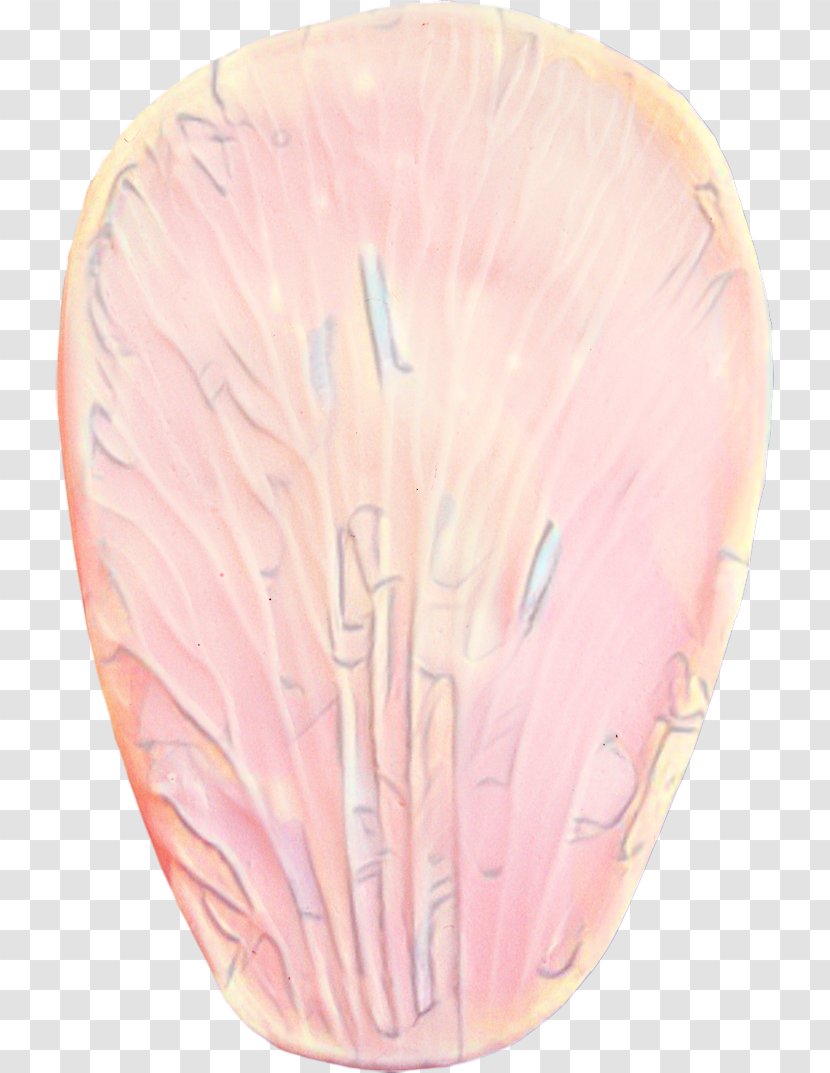 Pink Background - Feather - Plate Peach Transparent PNG