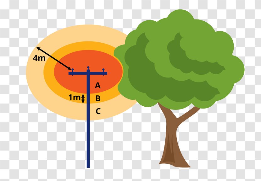 Tree Zone Diagram Clip Art - Electricity Transparent PNG