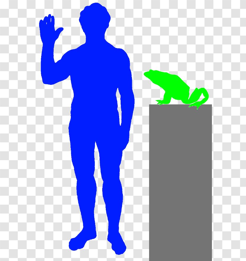 Homo Sapiens Human Body Clip Art - Big Frogs Transparent PNG