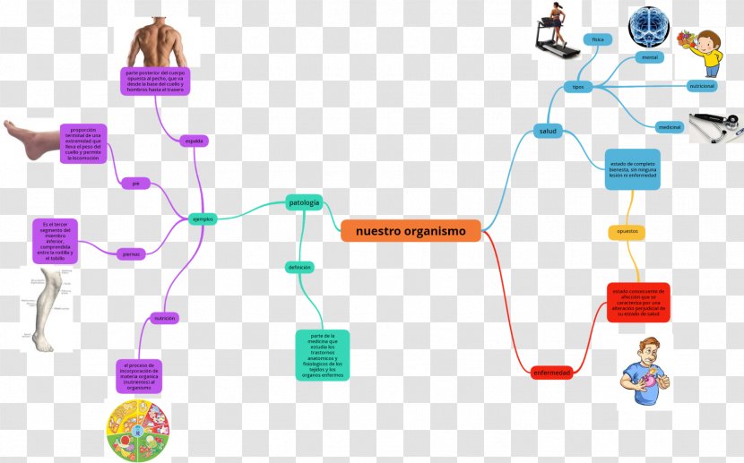 Disease Health Mania Mind Map - Technology Transparent PNG